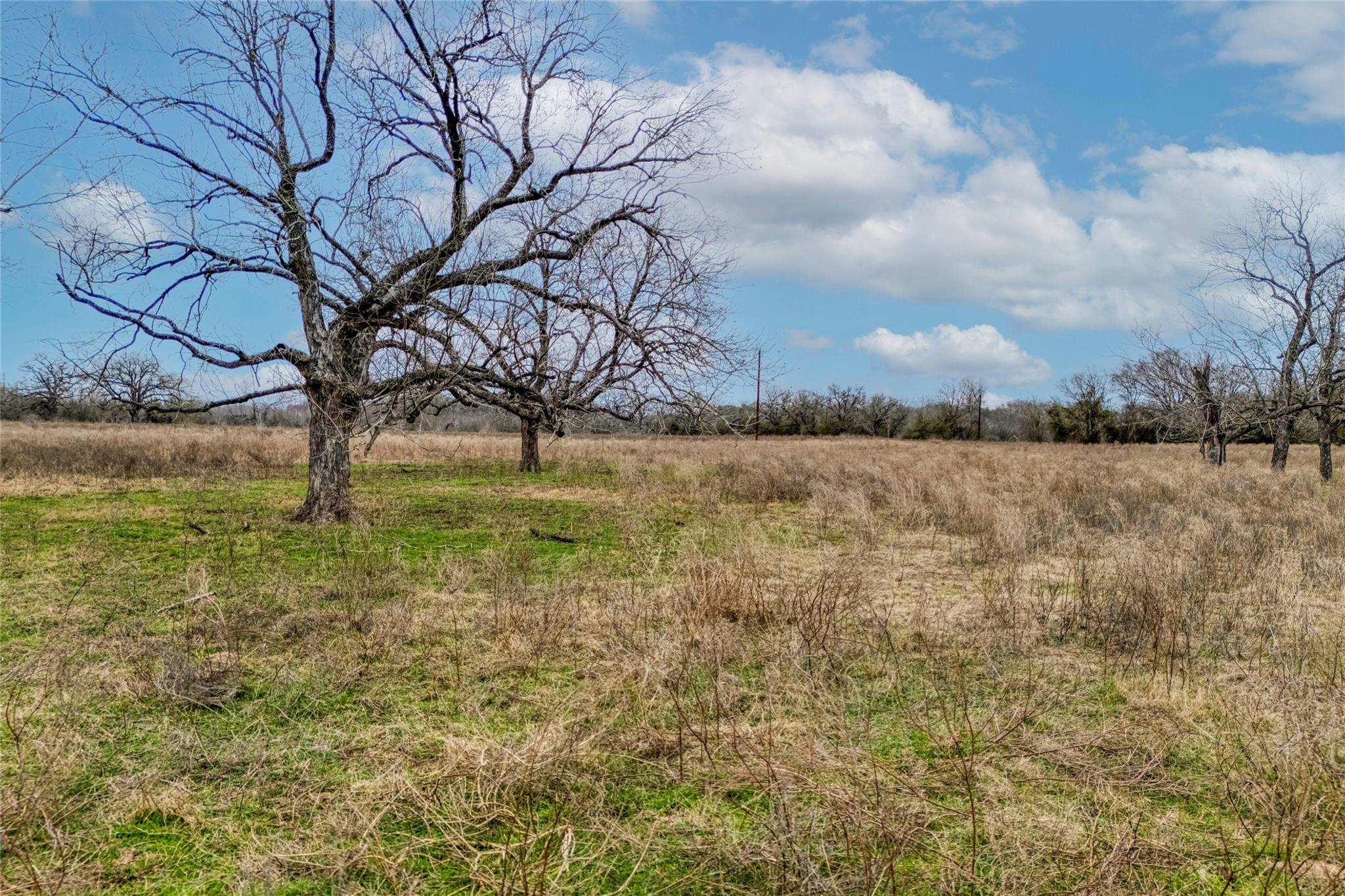 103 Robin Lane Luling TX 78648