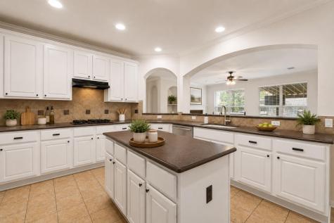 1598 Tahoka Daisy Drive Cedar Park TX 78613
