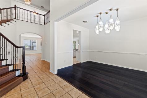 1598 Tahoka Daisy Drive Cedar Park TX 78613