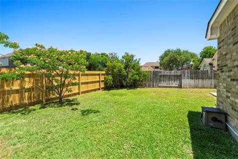 1598 Tahoka Daisy Drive Cedar Park TX 78613