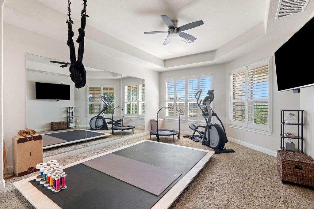 15317 Harrier Marsh Drive Austin TX 78738