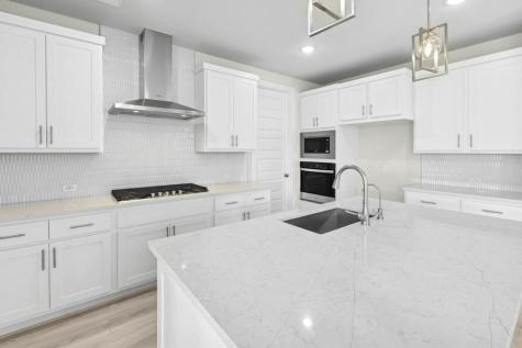 4733 Pleasant Place Round Rock TX 78665