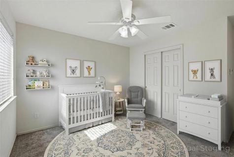 528 Wood Sorrel Way Round Rock TX 78665