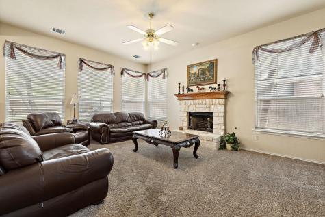 1111 Dalea Bluff Round Rock TX 78665