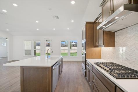 1528 Dancing Oak Lane San Marcos TX 78666