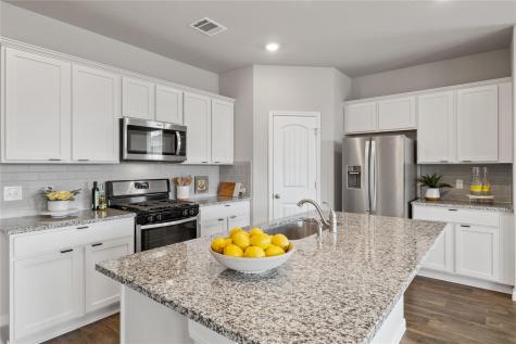 173 Frostweed Drive Kyle TX 78640