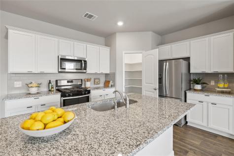 173 Frostweed Drive Kyle TX 78640