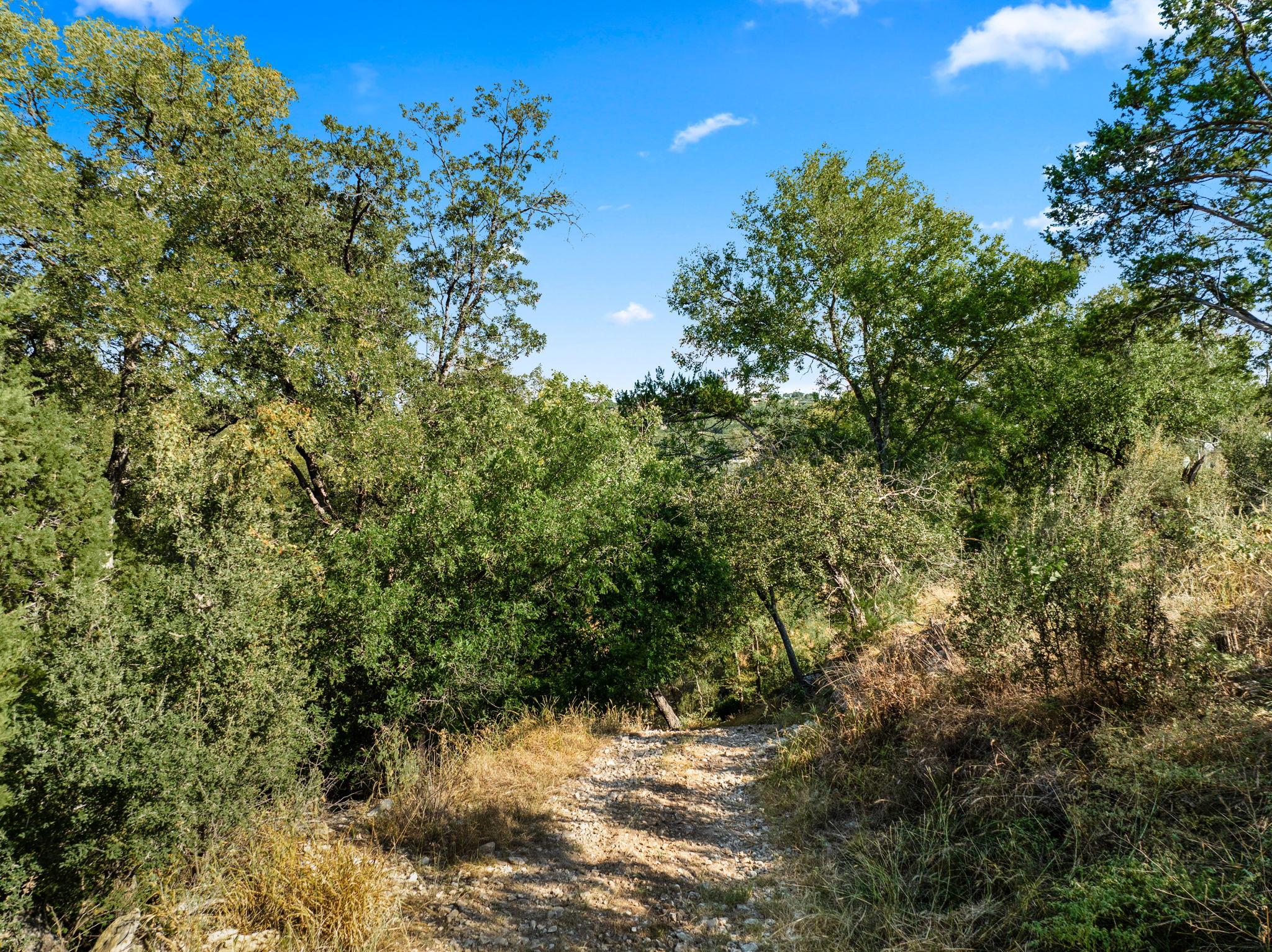 2201 Improver Road Spicewood TX 78669