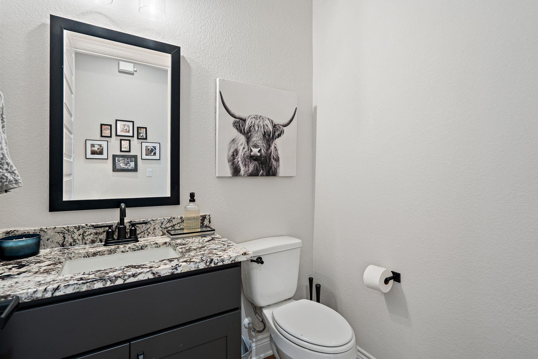 1000 Flint Ridge Trail Georgetown TX 78628