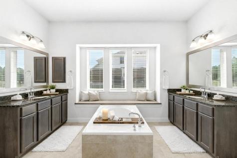 216 Tovas Secret Cove Georgetown TX 78628