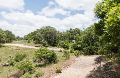 112 Bent Twig Street Liberty Hill TX 78642