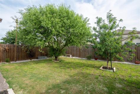 1106 Irina Cove Hutto TX 78634