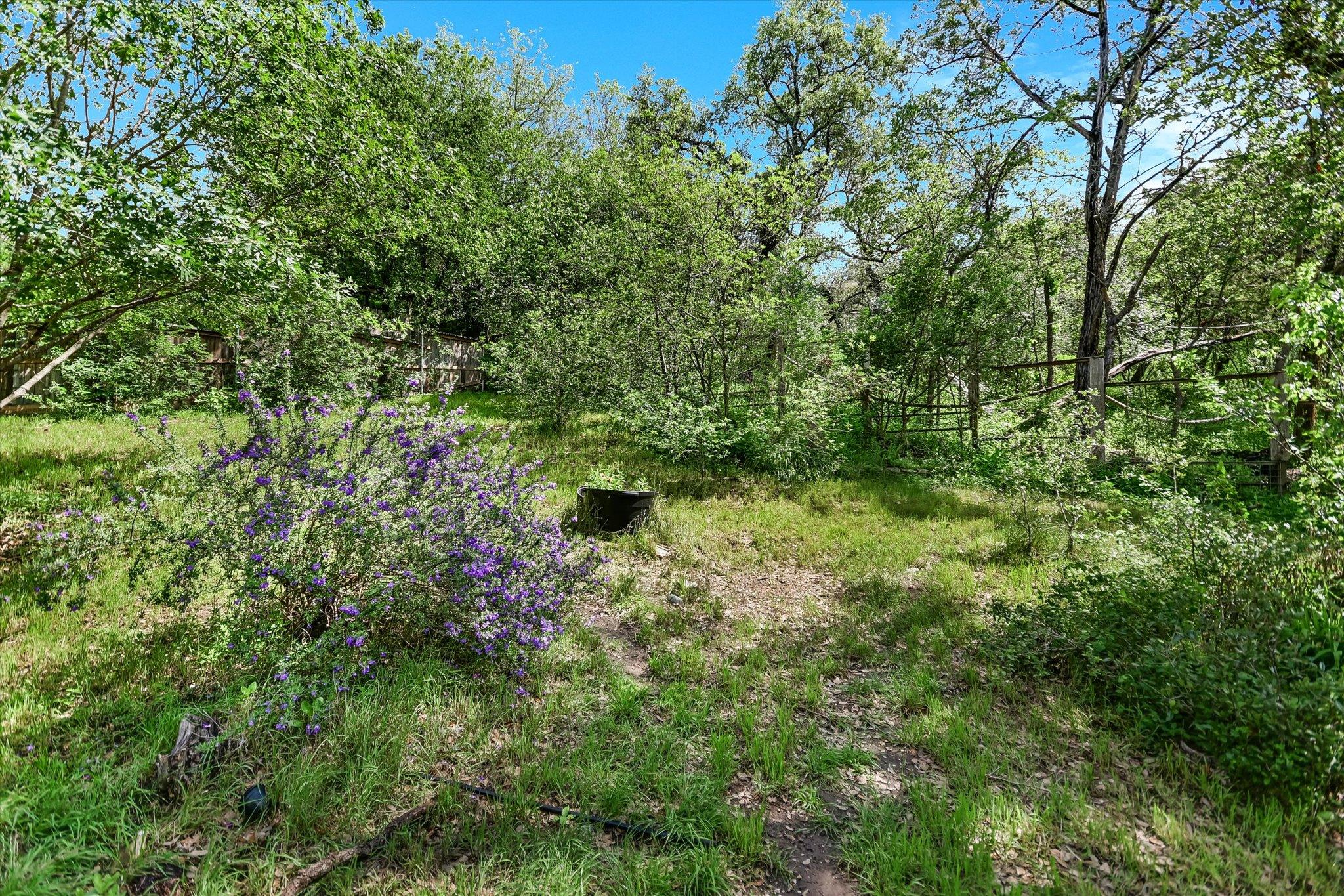 2607 Barton Hills Drive Austin TX 78704