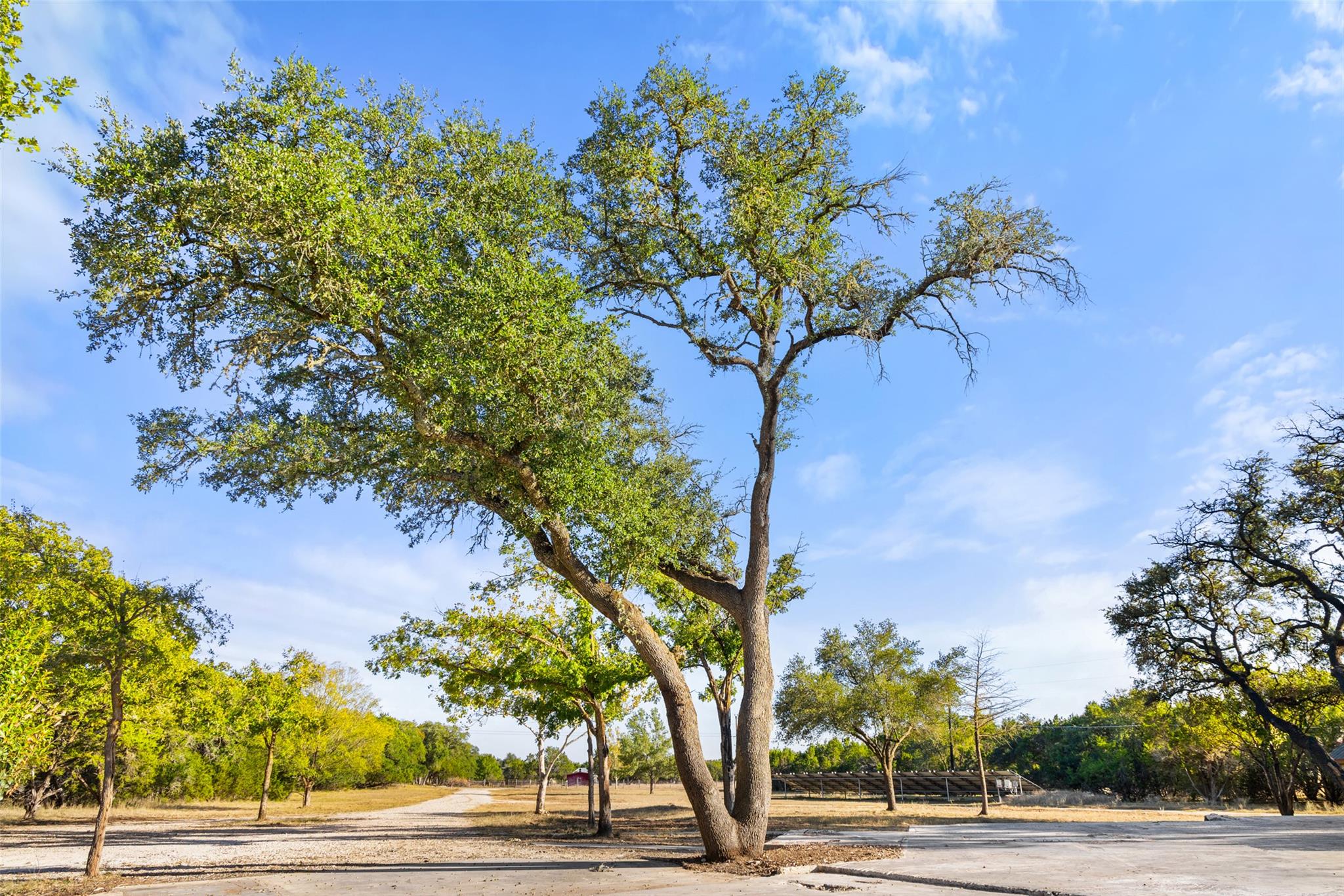 205 Mesquite Trail Wimberley TX 78676