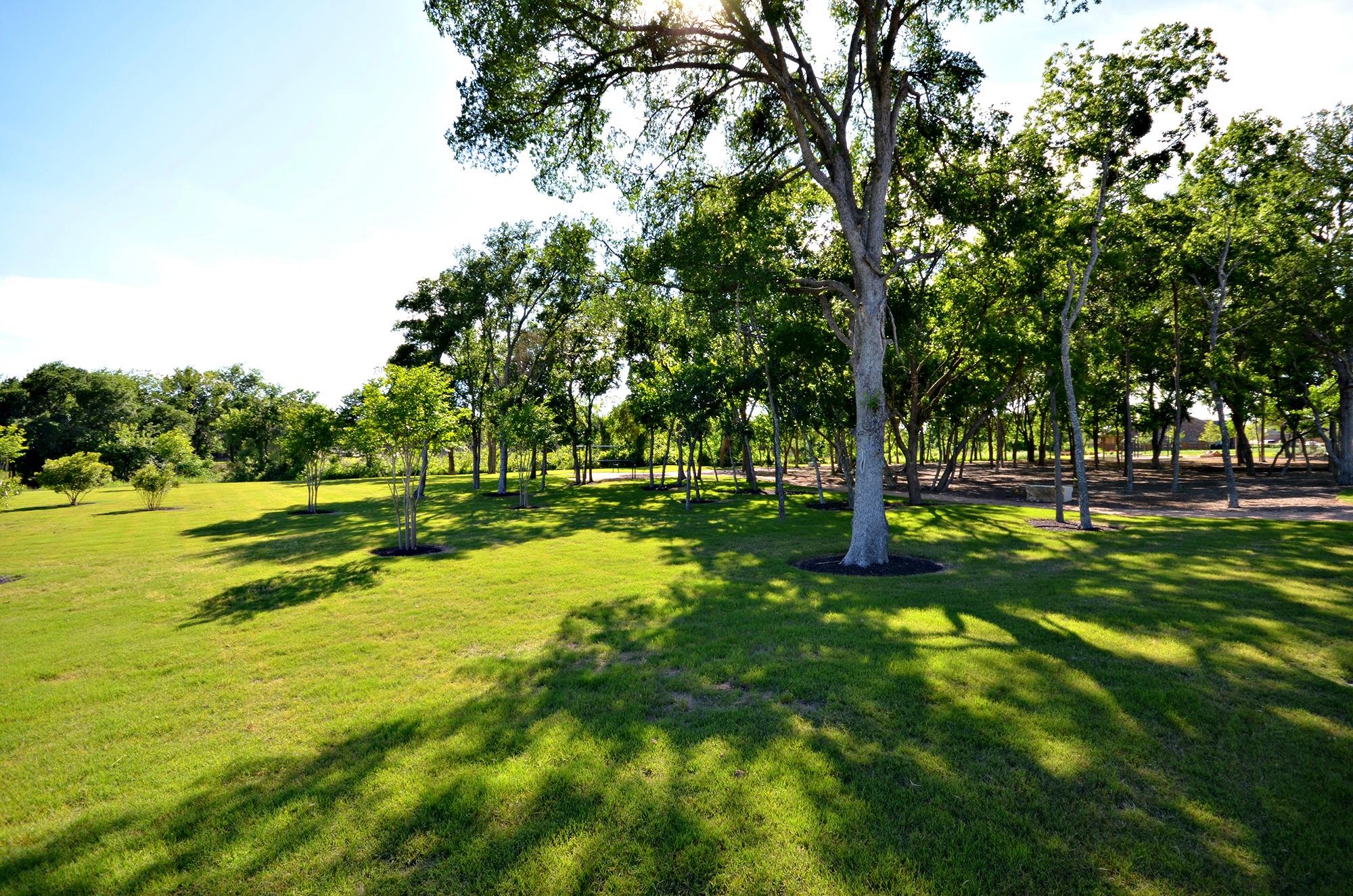 3036 Columbus Loop Round Rock TX 78665