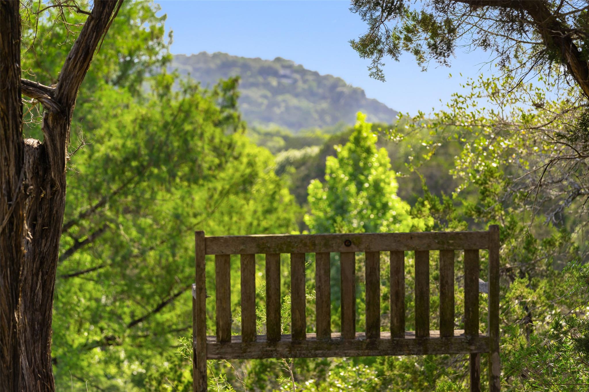 1601 Wild Basin Ledge Austin TX 78746