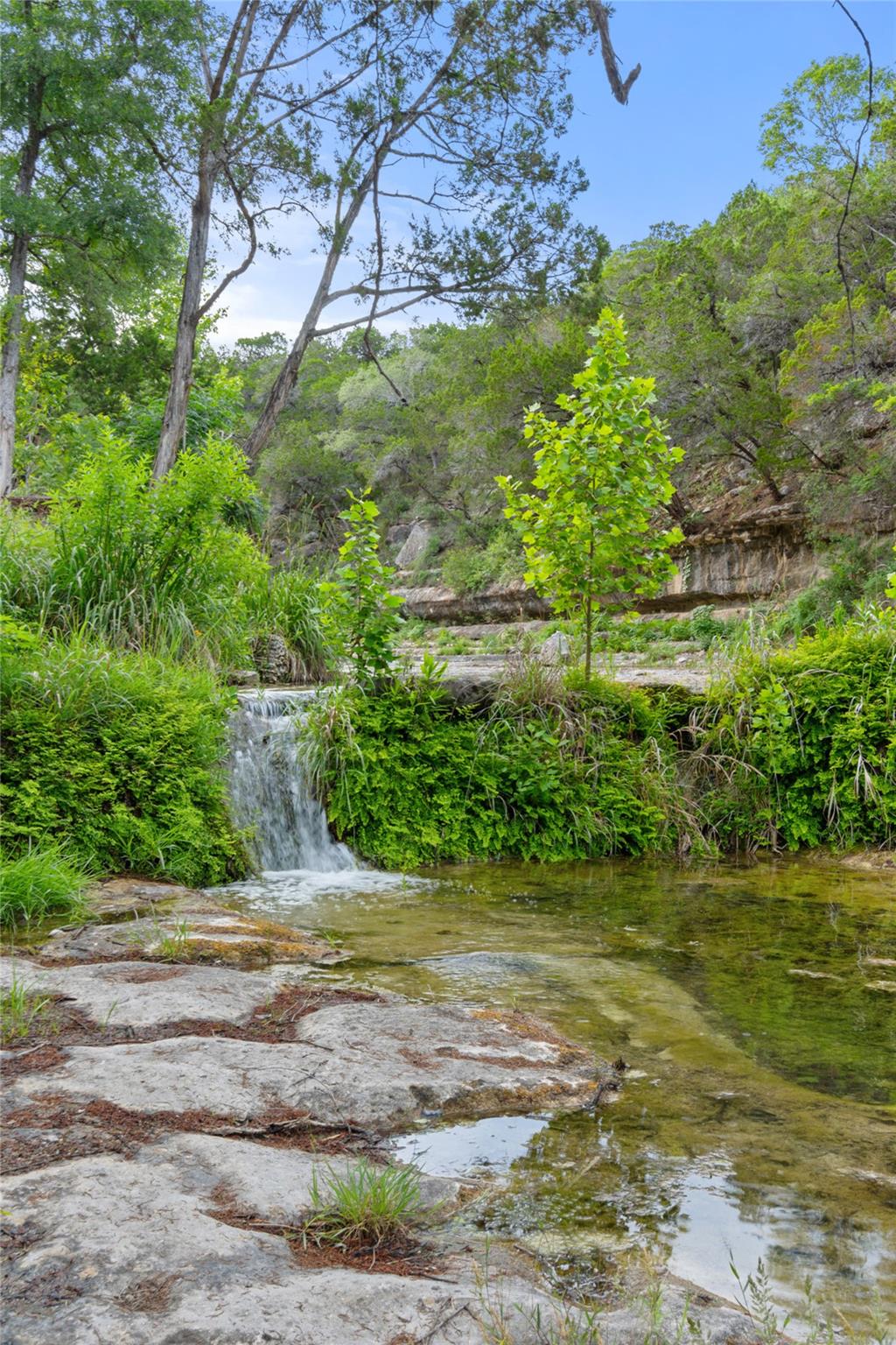 1601 Wild Basin Ledge Austin TX 78746