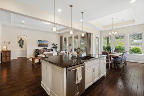 308 Ansley Cove Austin TX 78738