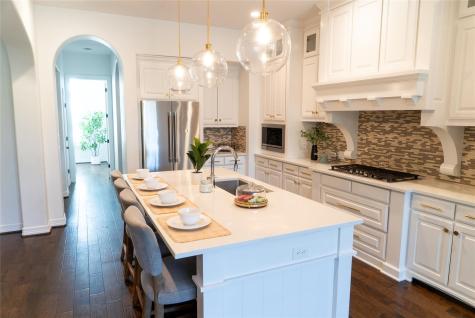 8801 Wild Rice Cove Austin TX 78738