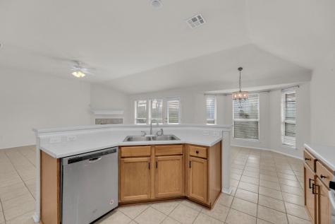 2317 Chestnut Path Round Rock TX 78664