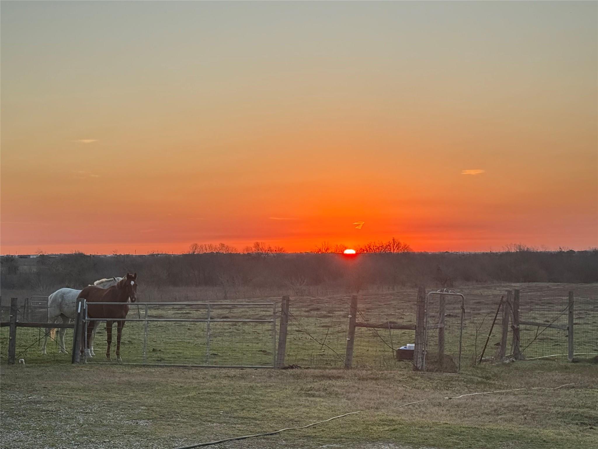 16117 Bobby Road Manor TX 78653