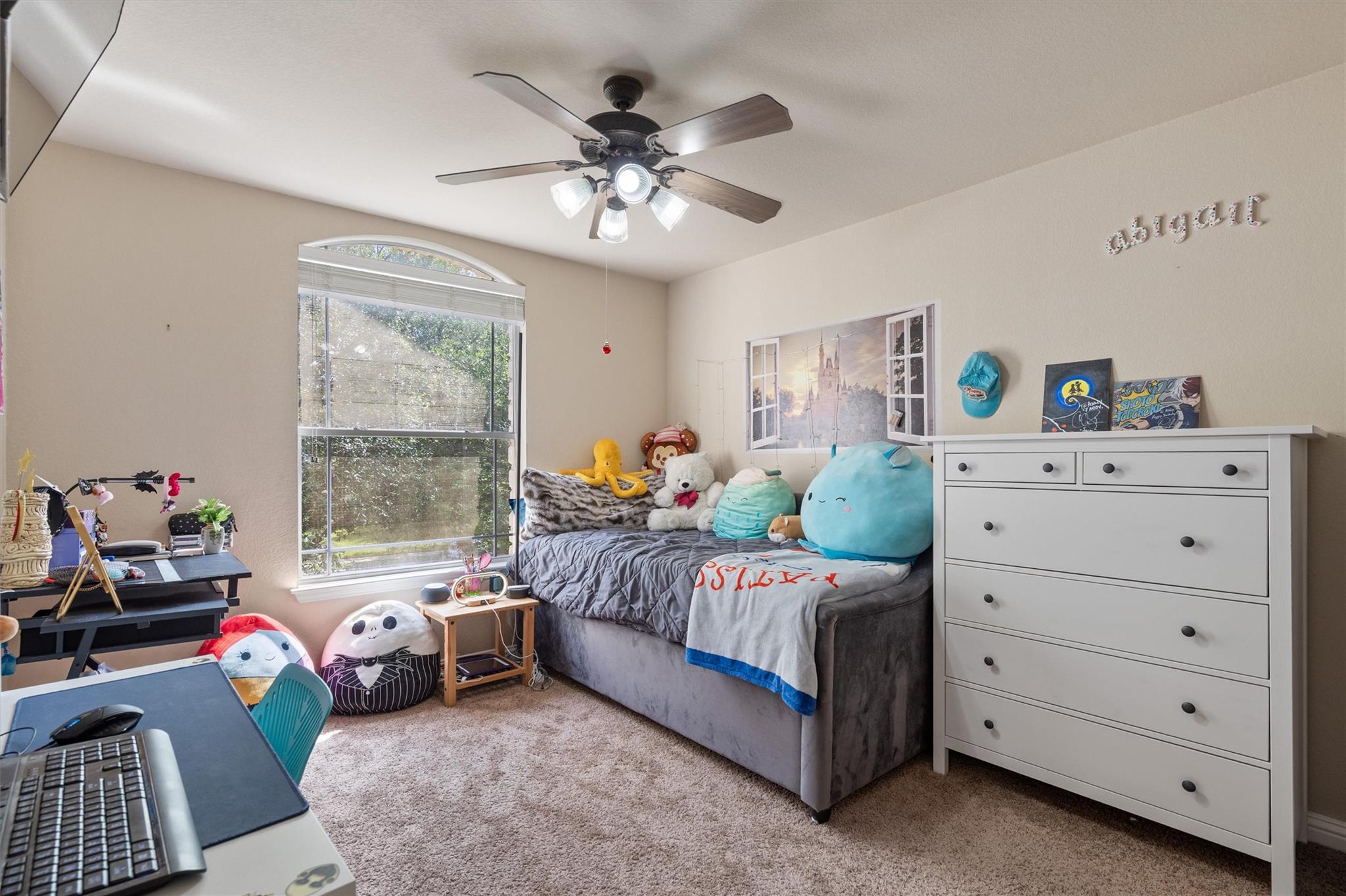 1008 Placid Creek Court Round Rock TX 78665