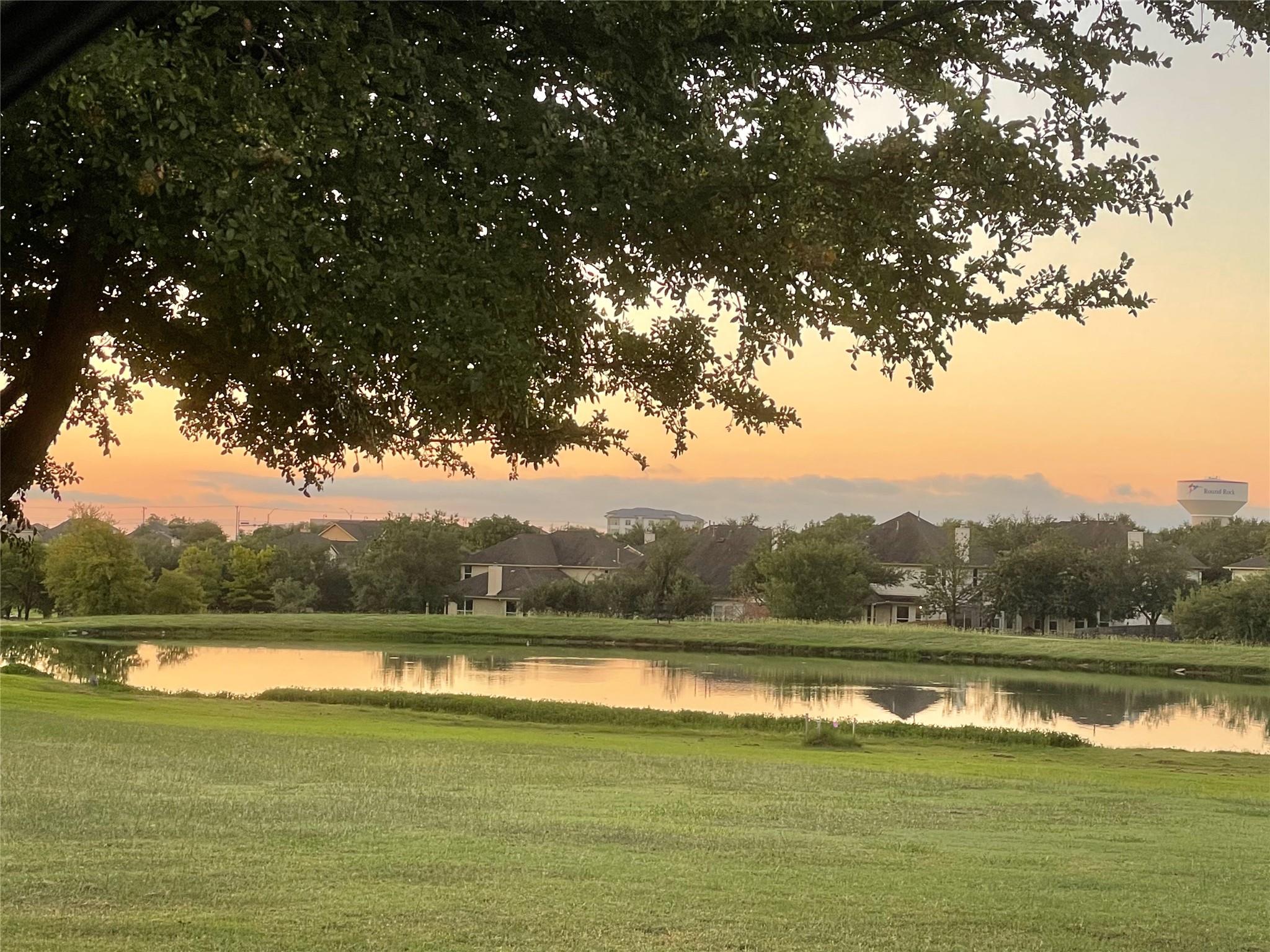 1008 Placid Creek Court Round Rock TX 78665