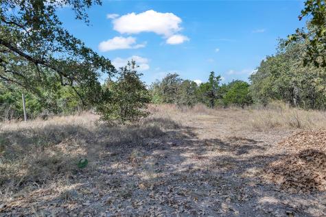 320 Pope Bend S Cedar Creek TX 78612