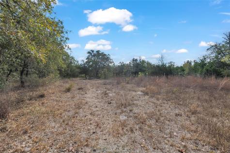 320 Pope Bend S Cedar Creek TX 78612