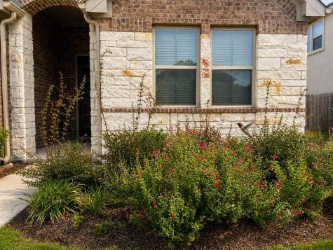 209 Rainier Drive Kyle TX 78640