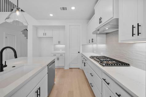 225 Pacific Grove Circle Liberty Hill TX 78642