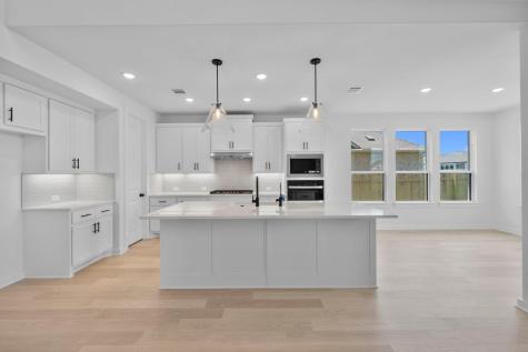 225 Pacific Grove Circle Liberty Hill TX 78642
