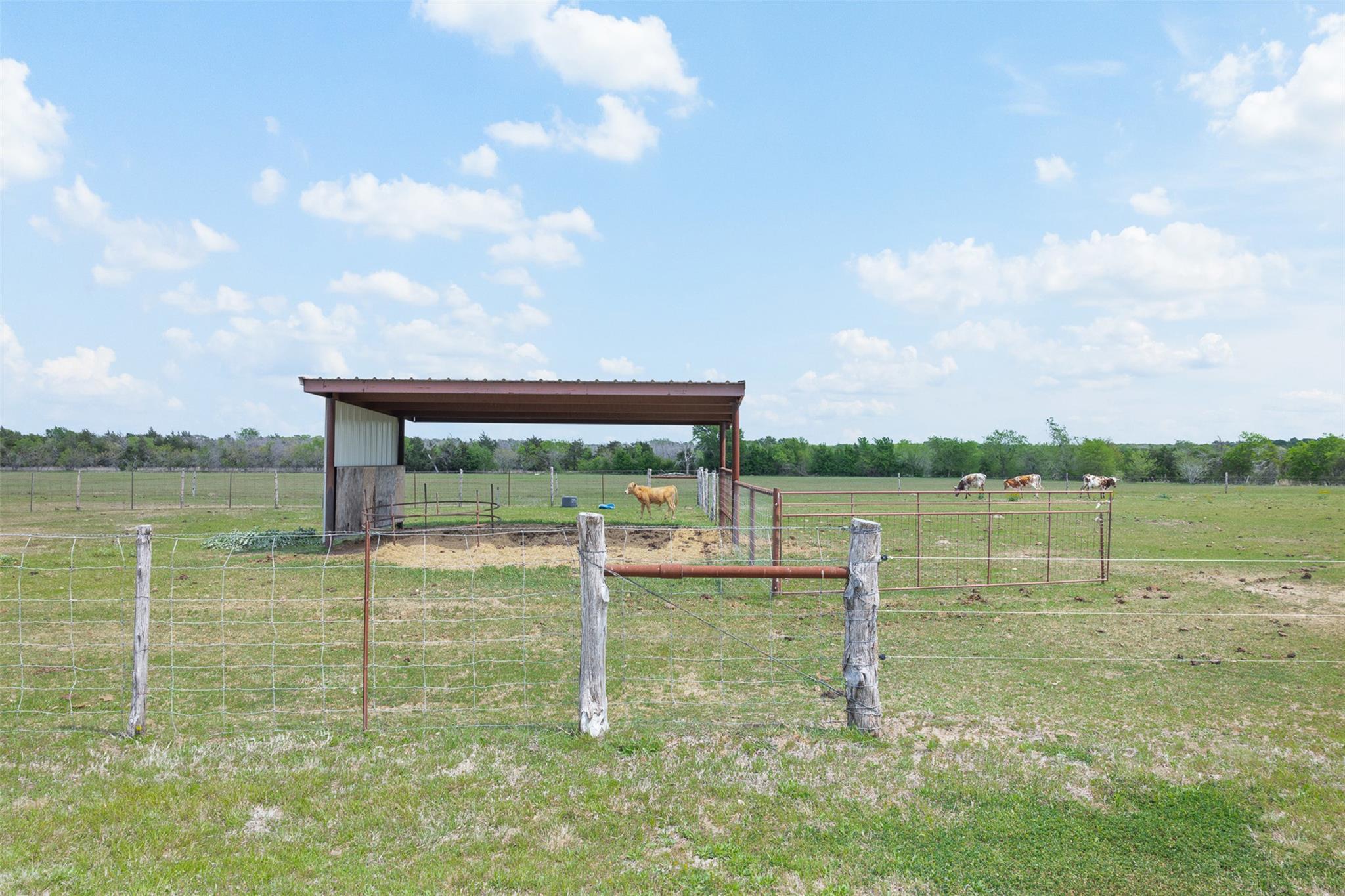 131 Cr 279 Kosse TX 76653