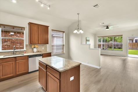 3521 Shiraz Loop Round Rock TX 78665