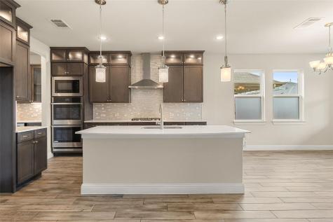 17233 Borromeo Avenue Pflugerville TX 78660