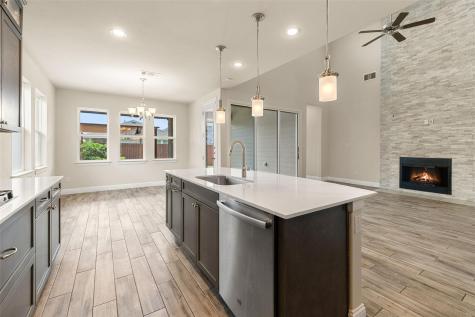 17233 Borromeo Avenue Pflugerville TX 78660