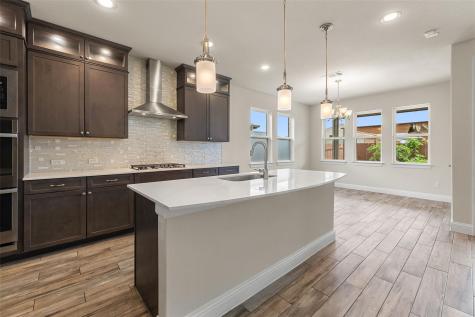 17233 Borromeo Avenue Pflugerville TX 78660