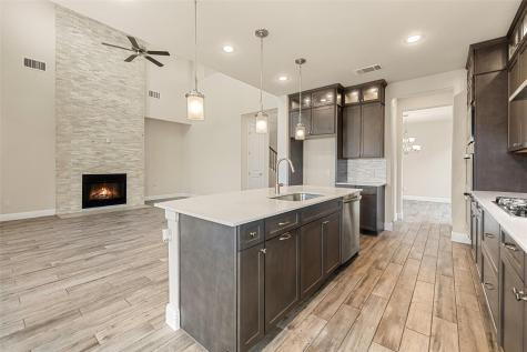 17233 Borromeo Avenue Pflugerville TX 78660