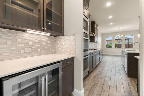 17233 Borromeo Avenue Pflugerville TX 78660