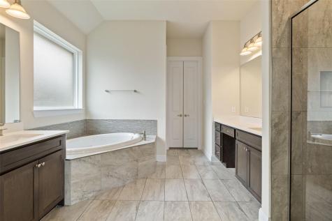17233 Borromeo Avenue Pflugerville TX 78660