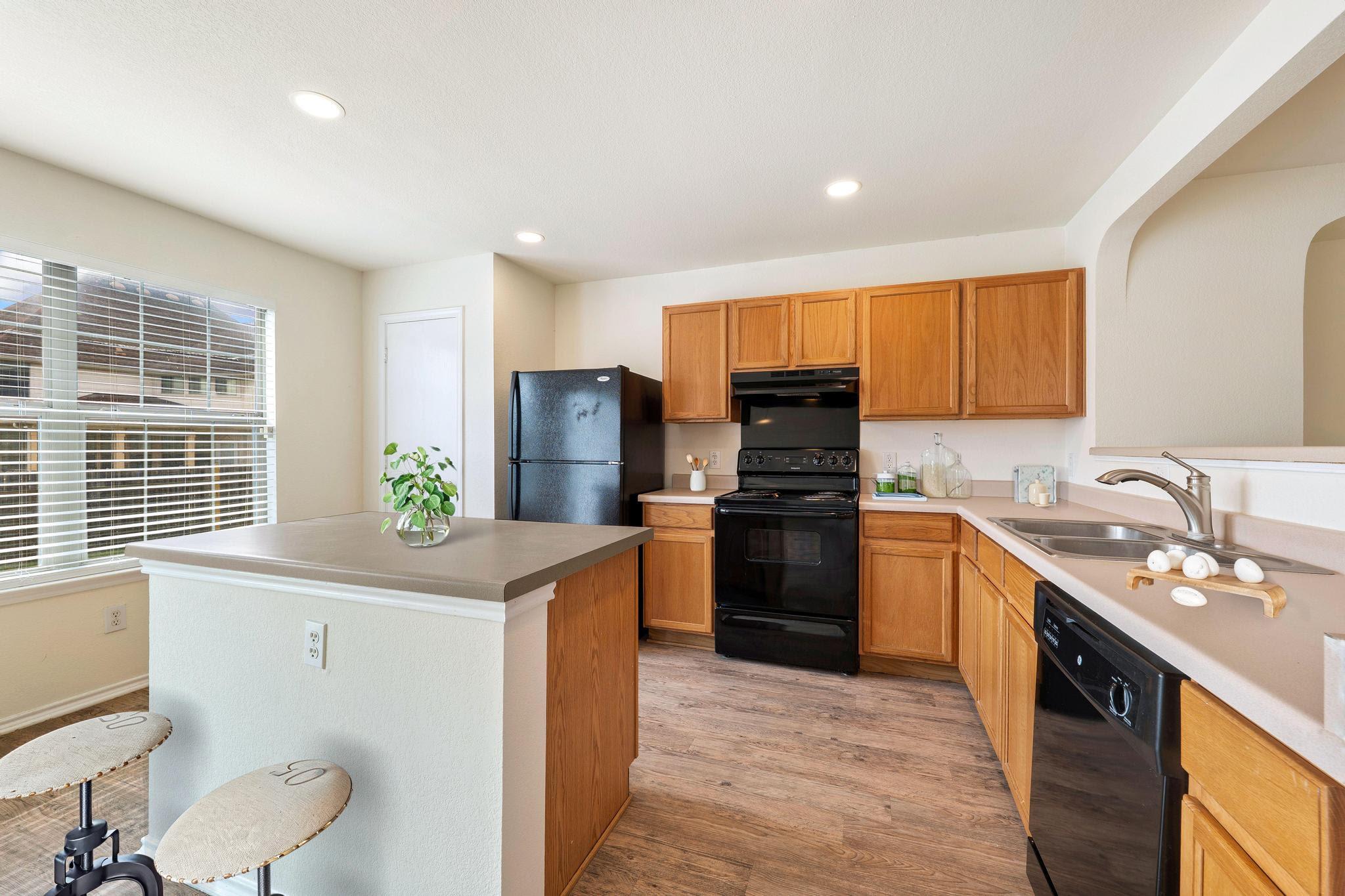 19701 San Chisolm Drive Round Rock TX 78664