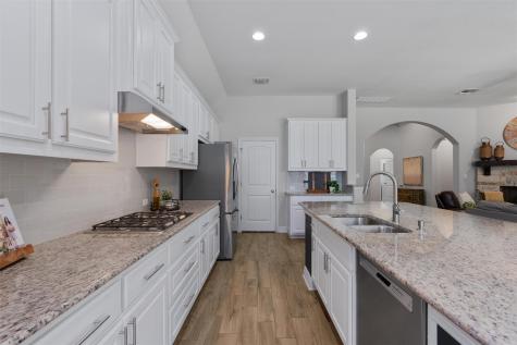 509 Blue Agave Lane Georgetown TX 78626