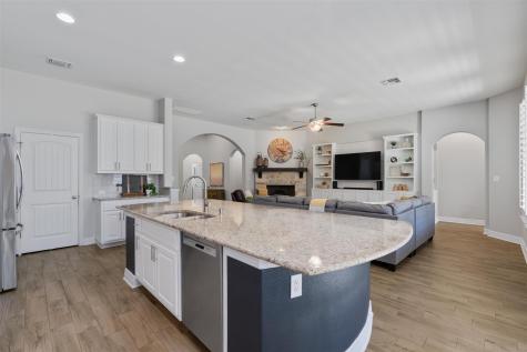509 Blue Agave Lane Georgetown TX 78626