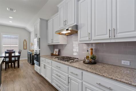509 Blue Agave Lane Georgetown TX 78626