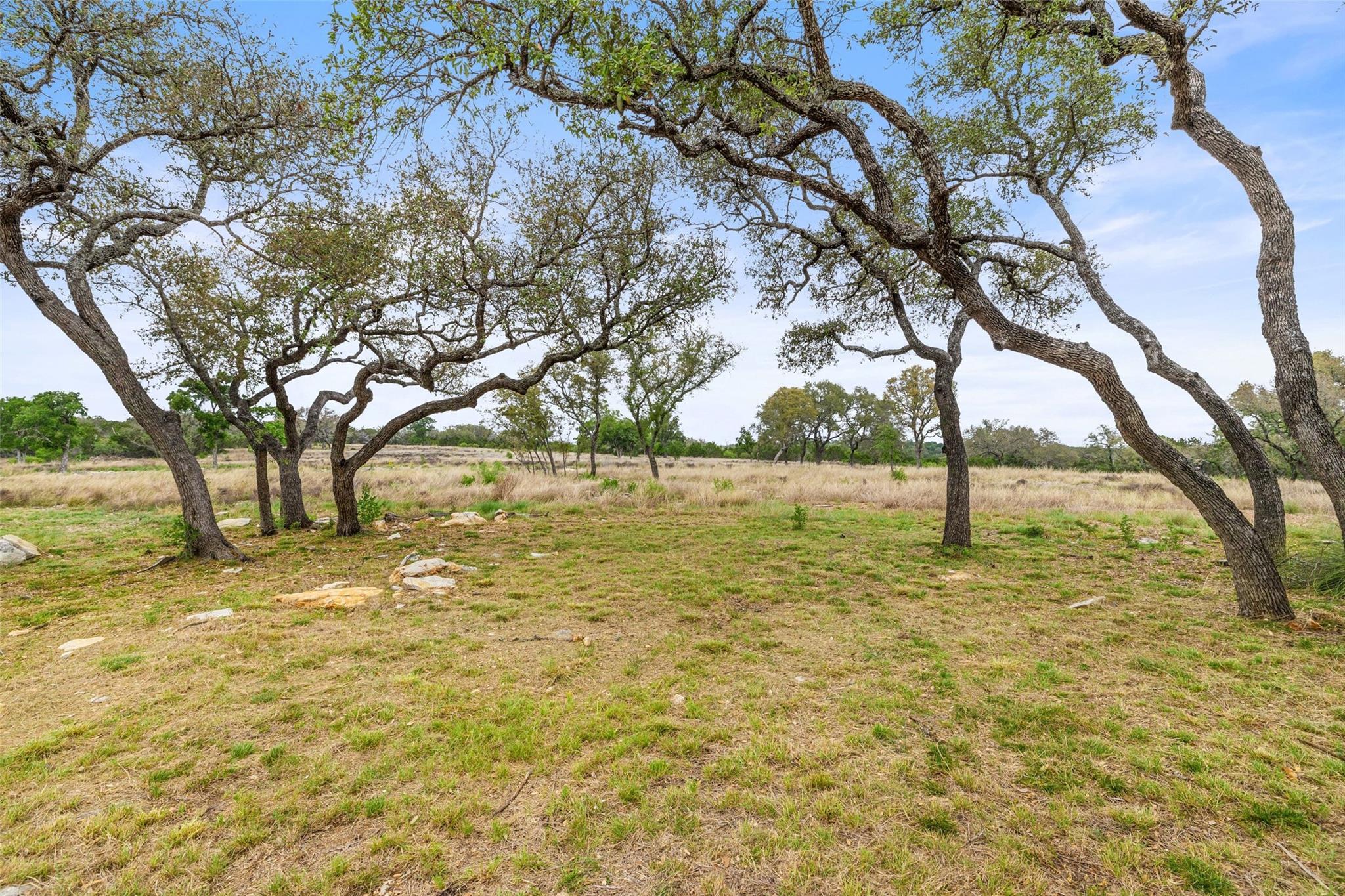 889 Brock Hollow Drive Johnson City TX 78636