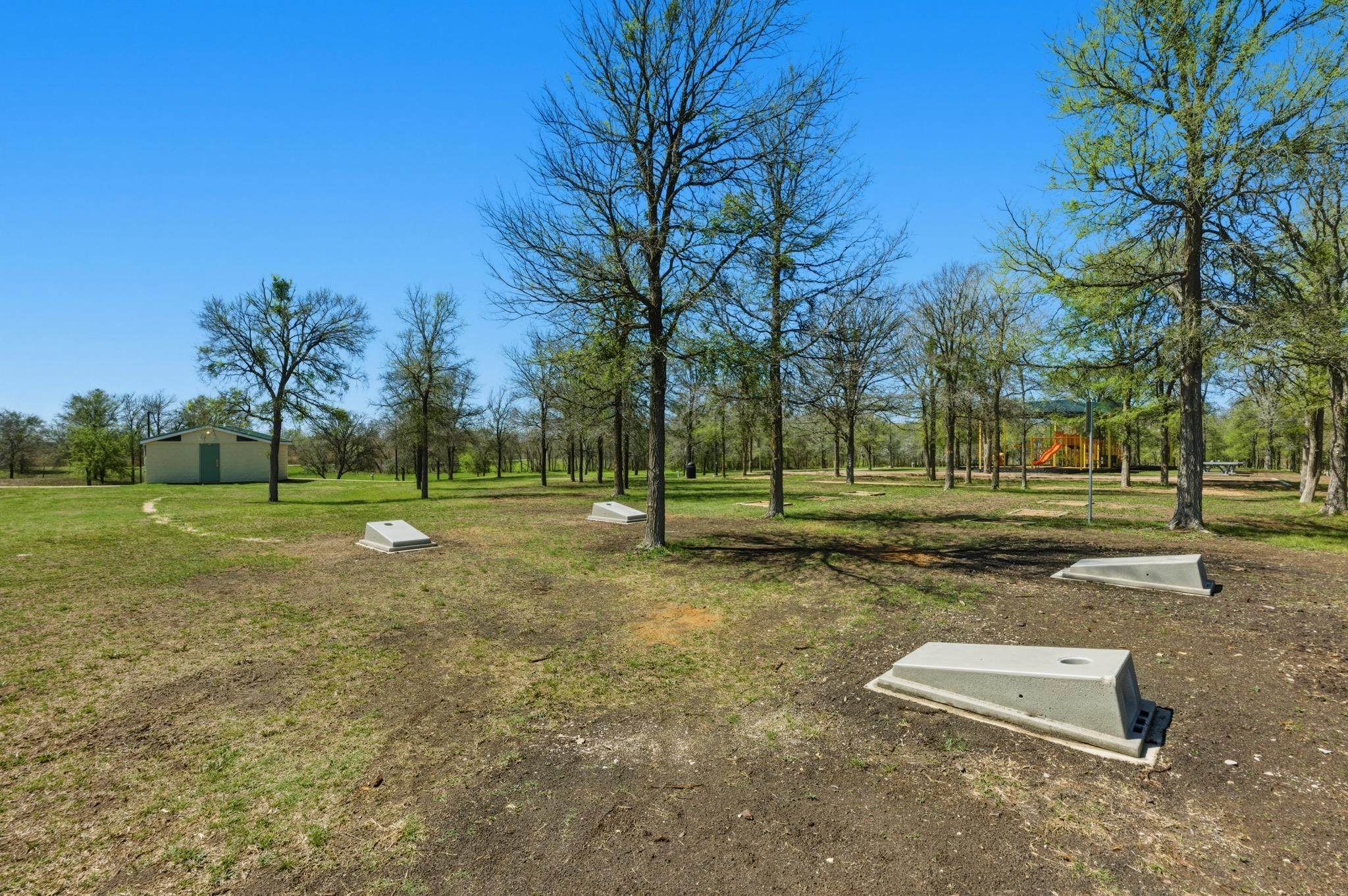 12425 Ostrich Trail Manor TX 78653