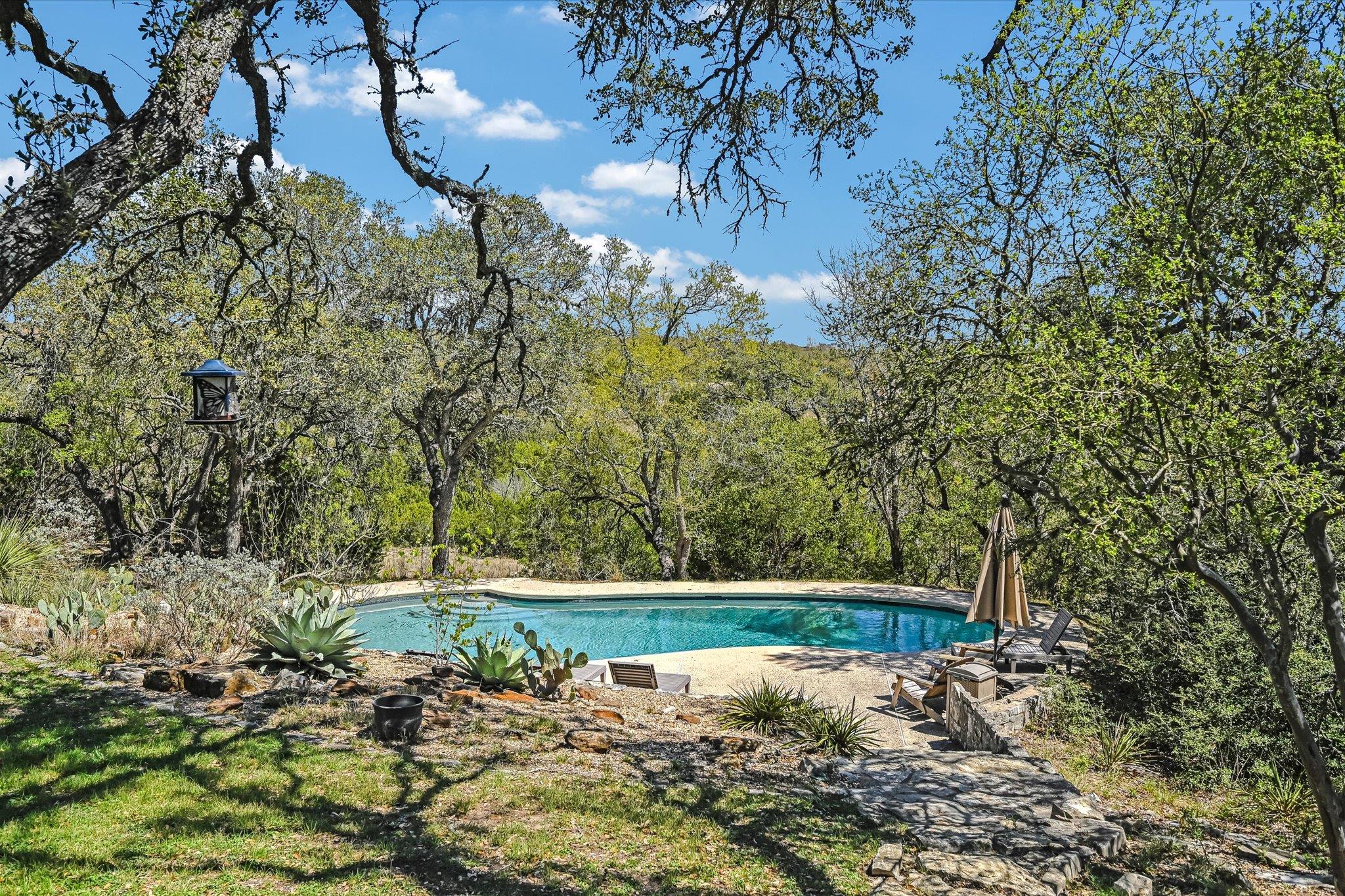 411 Whitetail Ridge Road Dripping Springs TX 78620