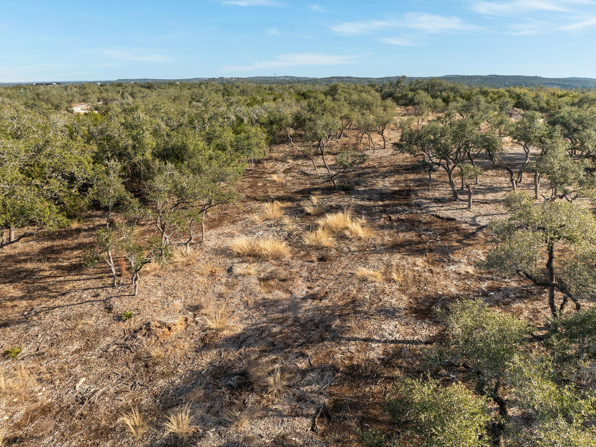 Tbd Mesa Alta Lane Dripping Springs TX 78620