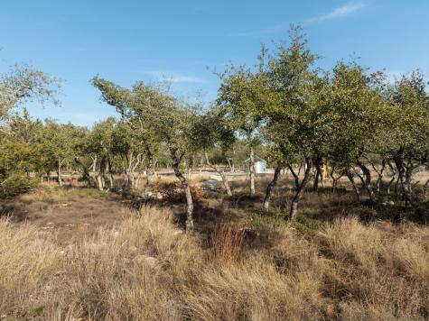 Tbd Mesa Alta Lane Dripping Springs TX 78620