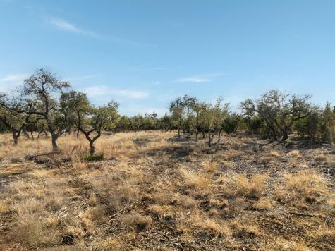 Tbd Mesa Alta Lane Dripping Springs TX 78620